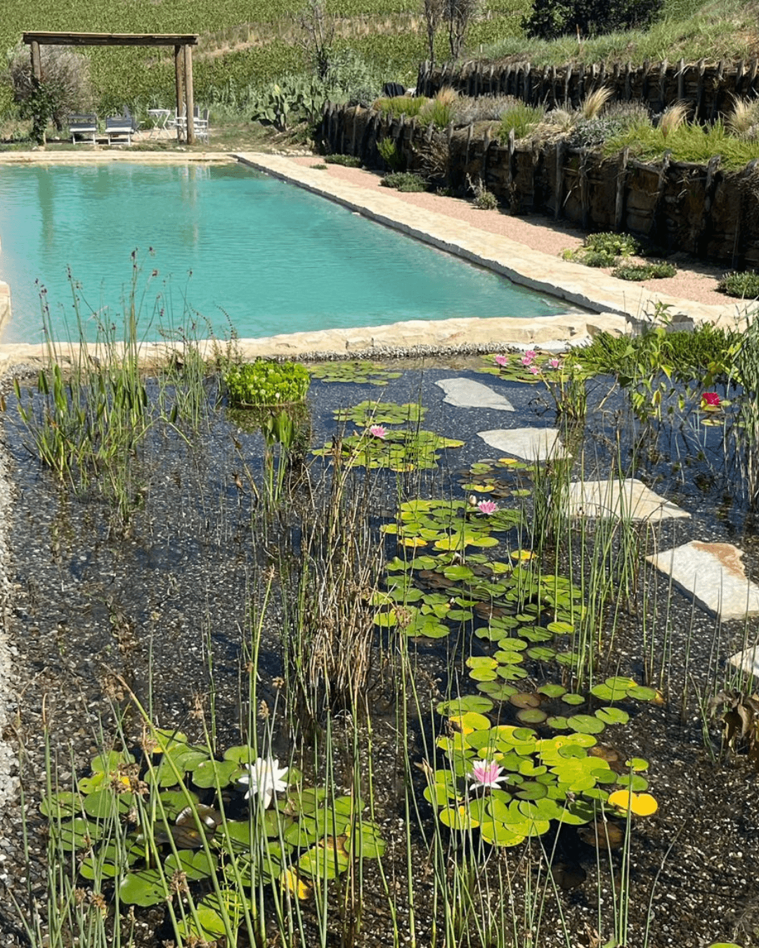 Natural Swimming Pool 2 Senza titolo Post Instagram 45