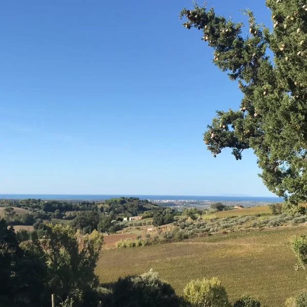 immagine paesaggio TerraViva